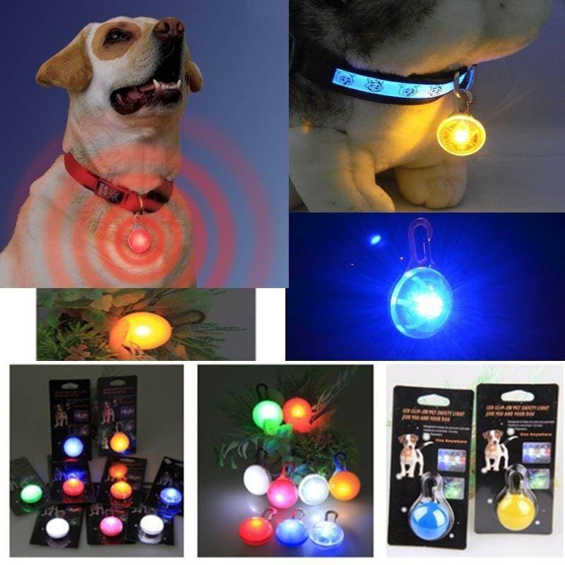 Product LED Piscando Dog Collar

