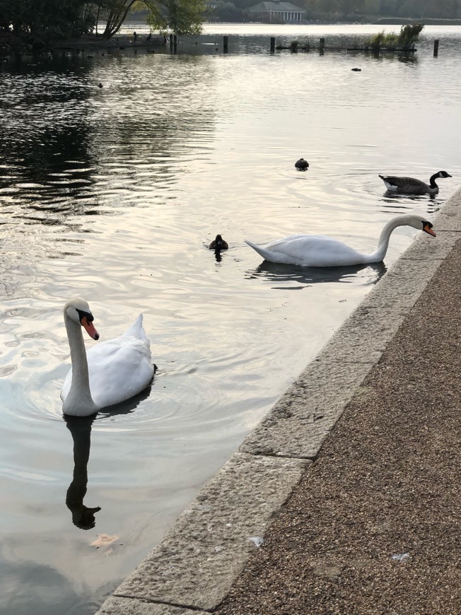 Lugar St. James's Park