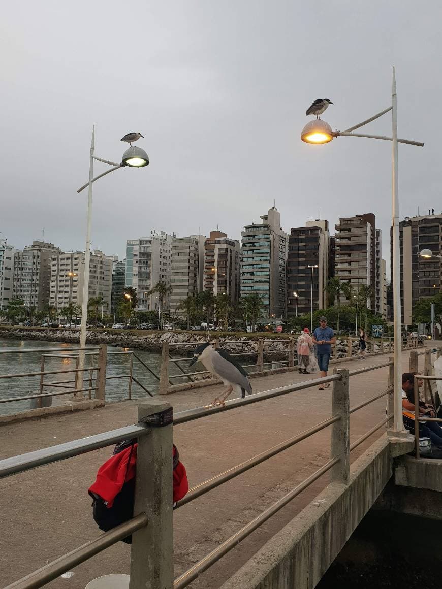 Lugar Florianópolis