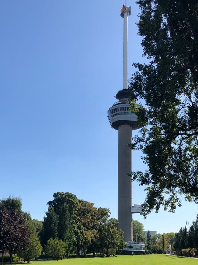 Lugar Euromast