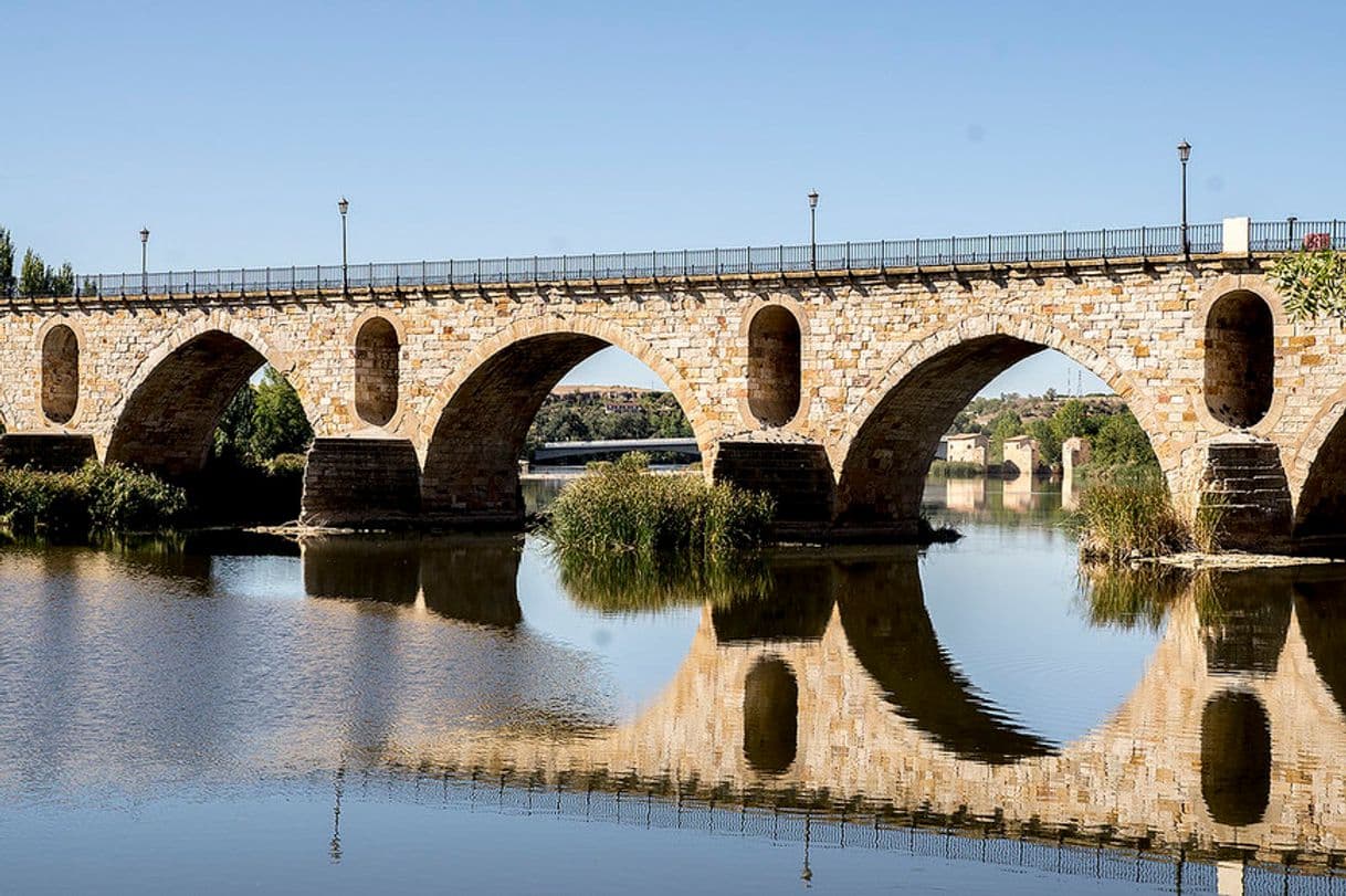 Lugar Puente de Piedra