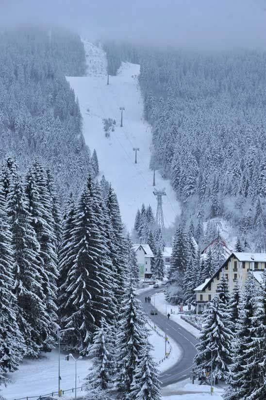 Place Poiana Brașov