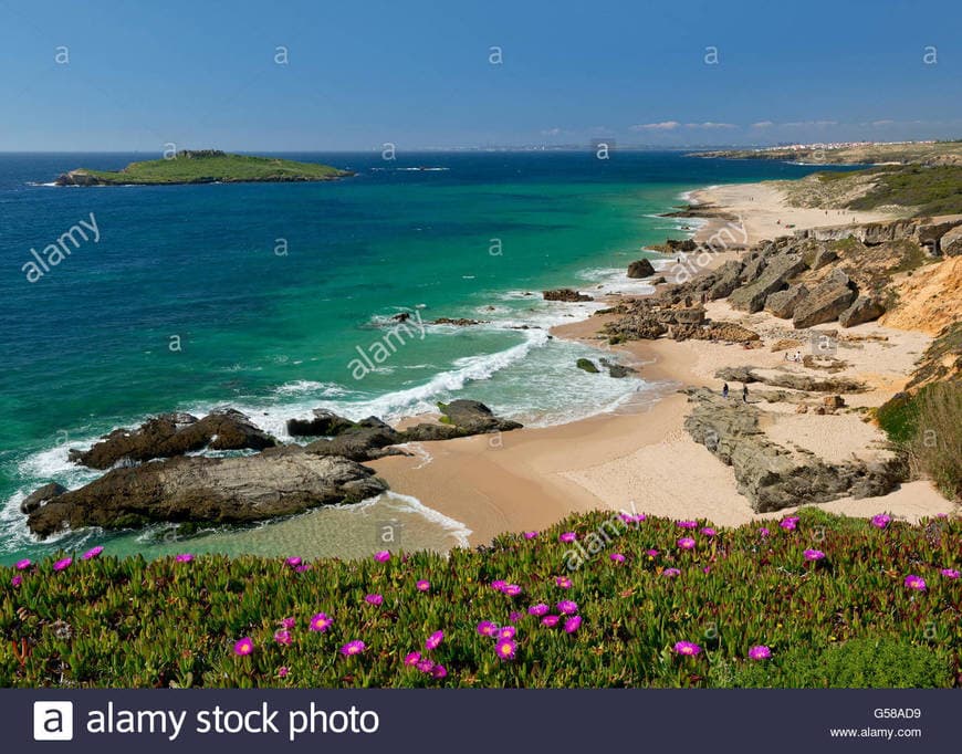 Lugar Ilha do Pessegueiro