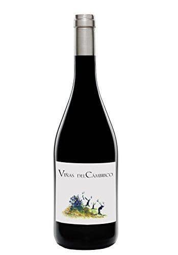 Product Viñas del Cambrico 100% Rufete 2015-Vino Tinto-Ecológico-0.75l