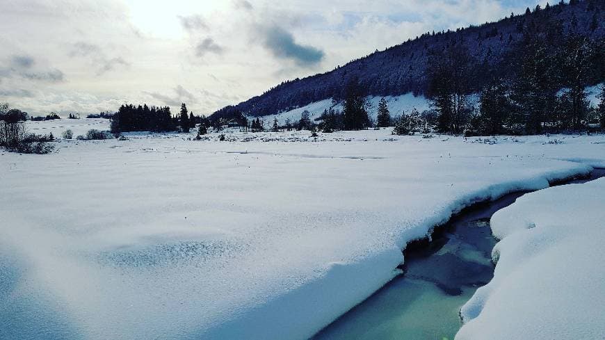 Lugar Lac des Rousses