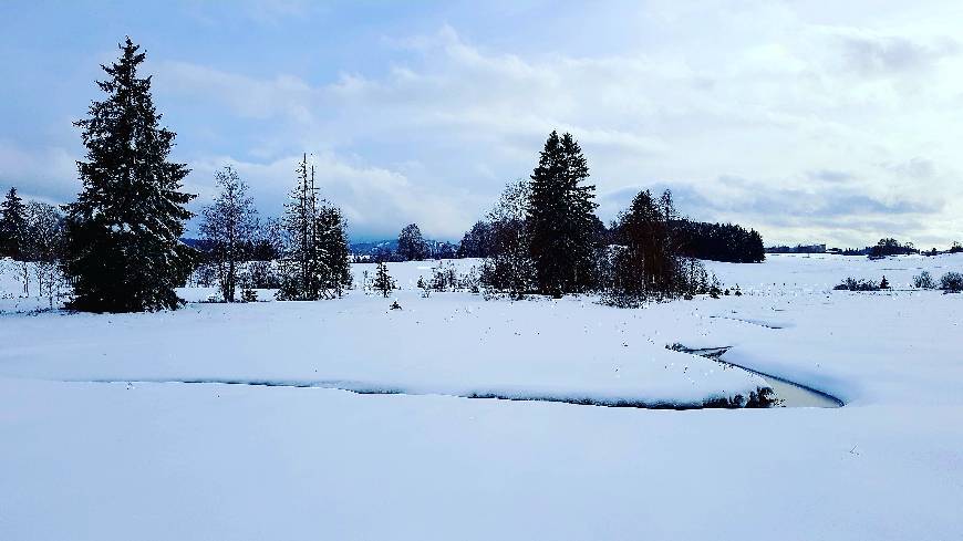 Lugar Lac des Rousses