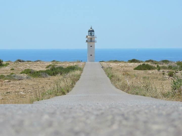 Place Faro cap De Barbaria