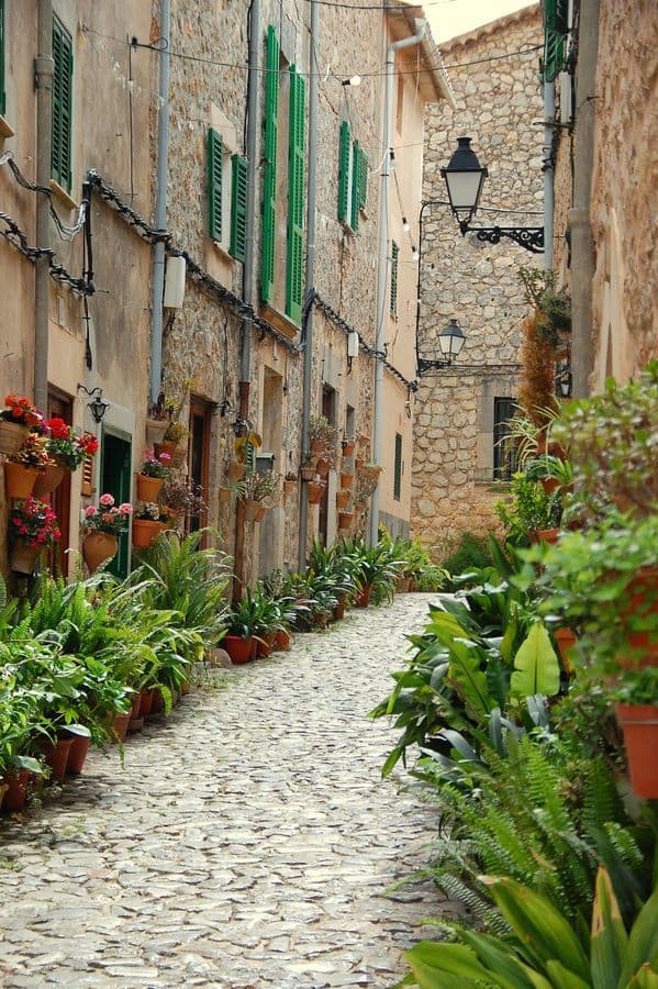 Place Valldemosa