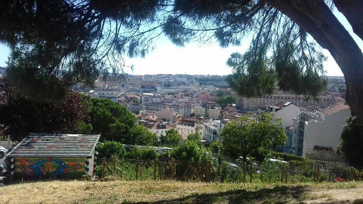 Lugar Miradouro Sophia de Mello Breyner Andresen