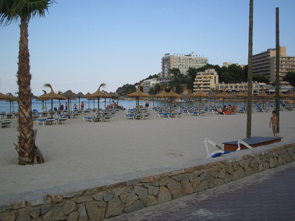 Lugar Palmanova Beach