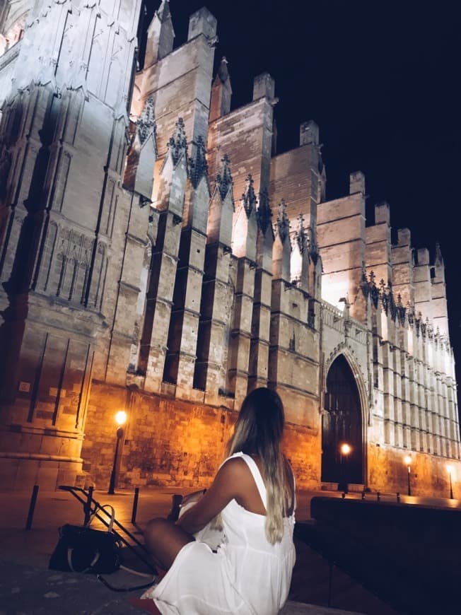 Lugar Catedral-Basílica de Santa María de Mallorca