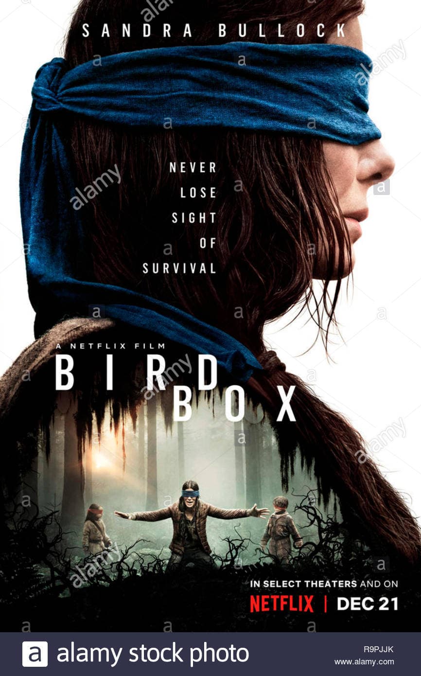 Película Bird Box (Às Cegas) 