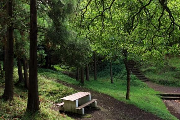 Place Recreational Forest Reserve of Chã da Macela