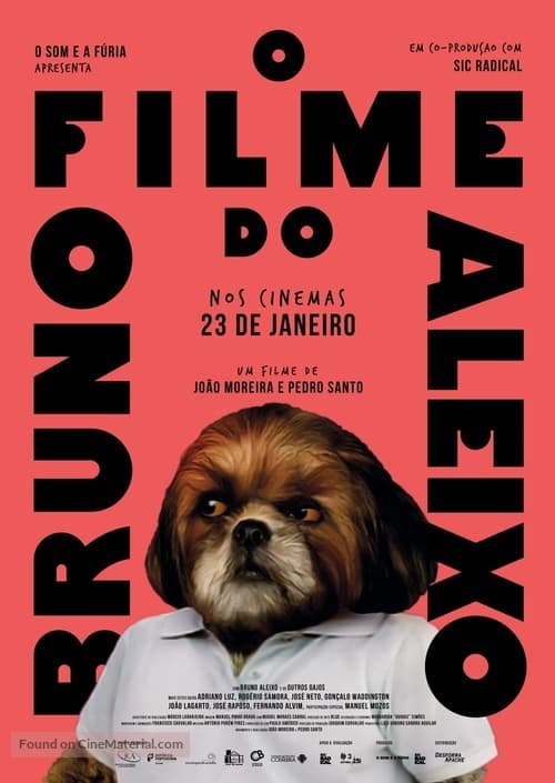 Movie Bruno Aleixo's Film