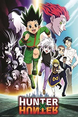 Serie Hunter x Hunter