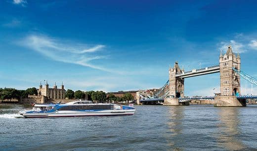 Place Thames River Tours