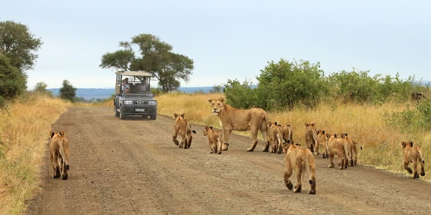 Place Parque nacional Kruger