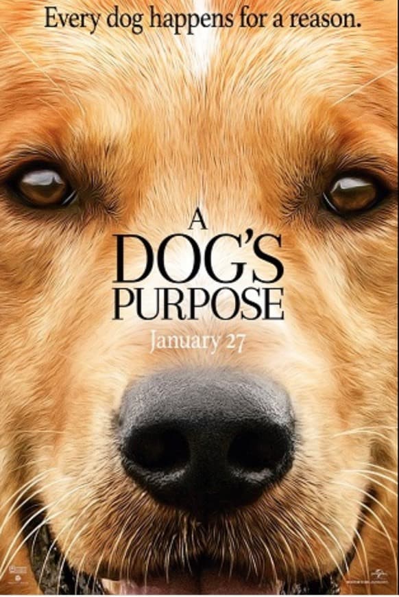 Movie A Dog’s Purpose 