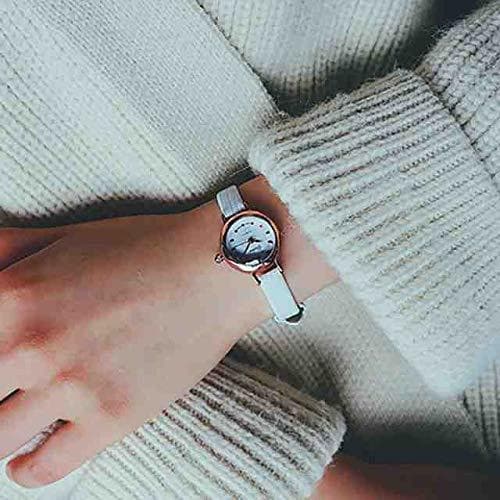 Place WDQTDY Relojes nuevos para Mujer Reloj de Pulsera analógico de Cuarzo Dial