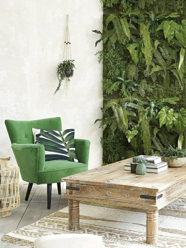 Fashion Decoração com plantas 