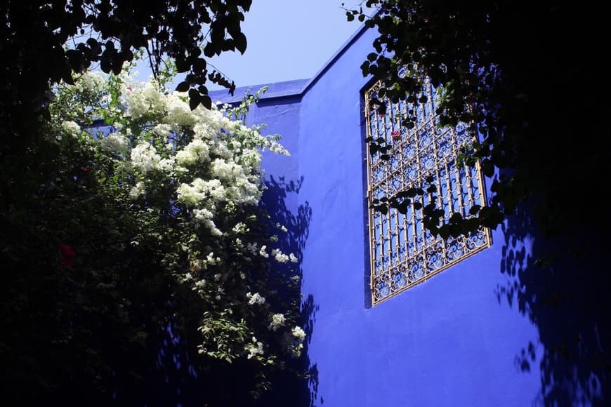 Lugar Jardín Majorelle