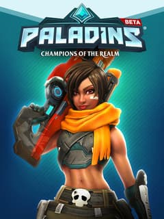 Videogames Paladins