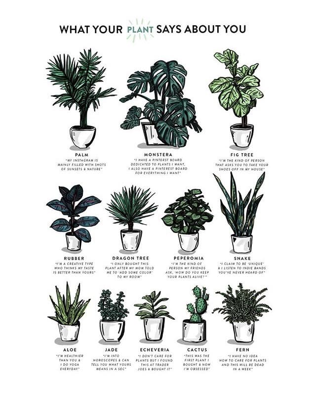 Fashion What your plant says about you?