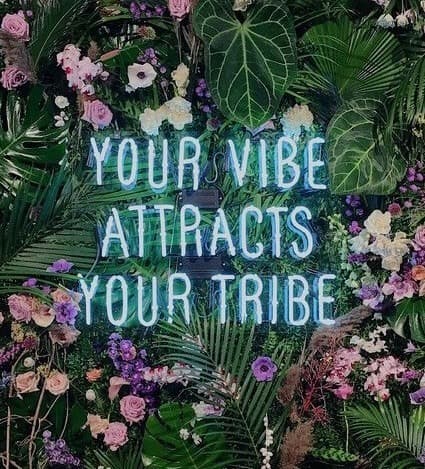 Fashion Your vibe attracts your tribe