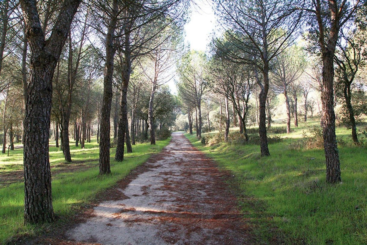 Place Monte de Valdelatas