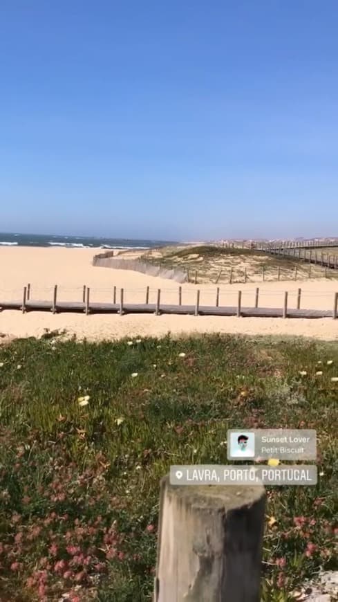 Lugar Praia das Pedras Brancas