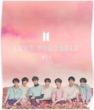 Moda BTS - Love Yourself Tour 