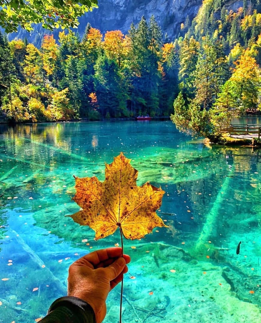 Place Blausee