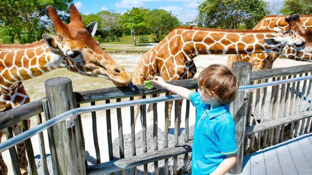 Lugar Zoo portugal