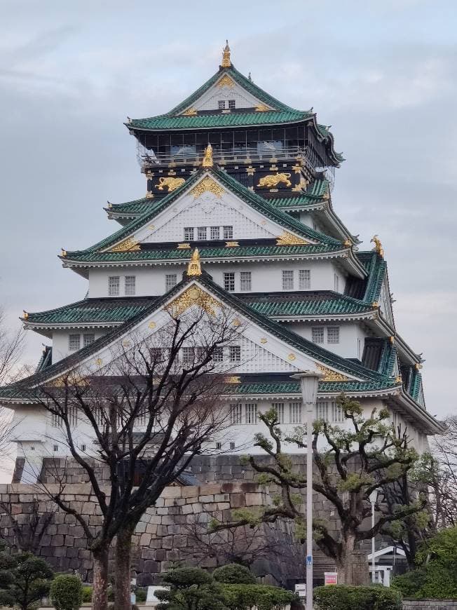 Place Osaka Castle