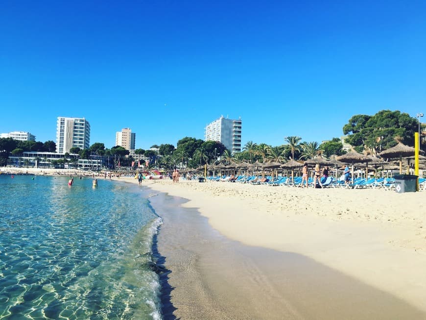 Lugar Magaluf Beach