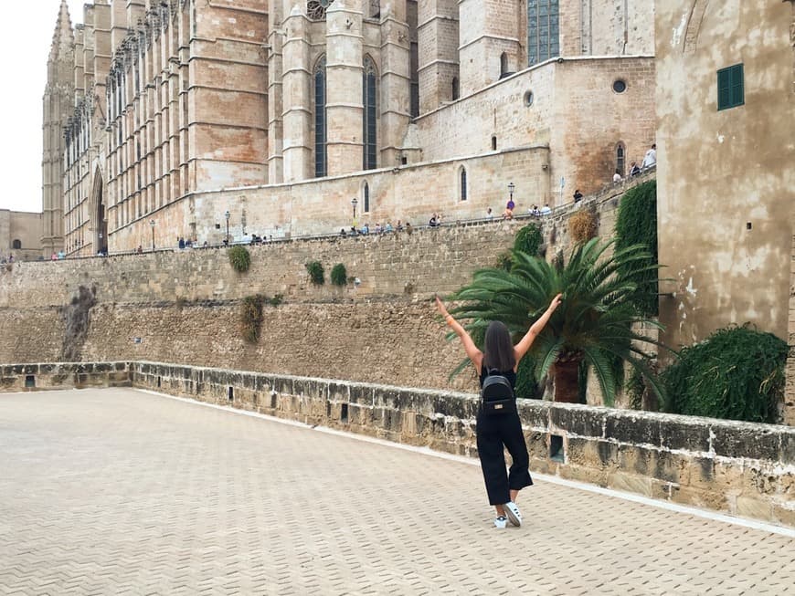 Lugar Catedral-Basílica de Santa María de Mallorca