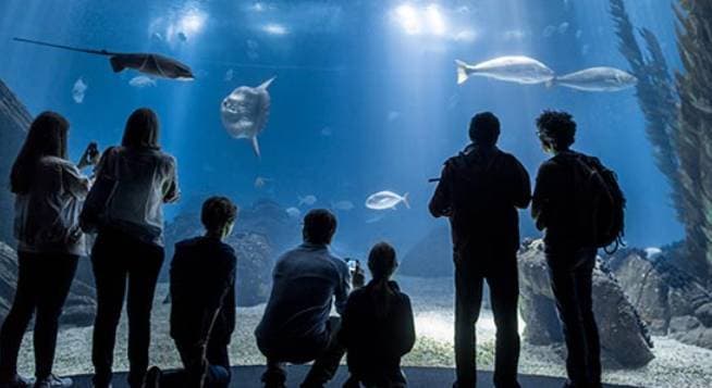 Lugar Oceanário de Lisboa