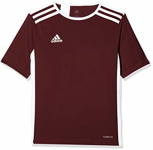 Fitness adidas Entrada 18 JSY Jersey de Fútbol de Manga Corta, Hombre, Marrón