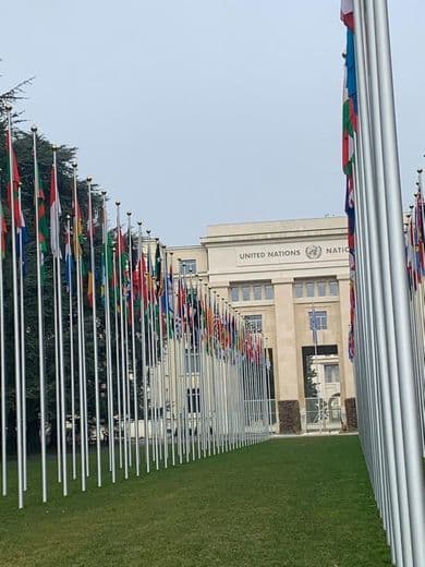 Place Oficina de la Organización de las Naciones Unidas en Ginebra