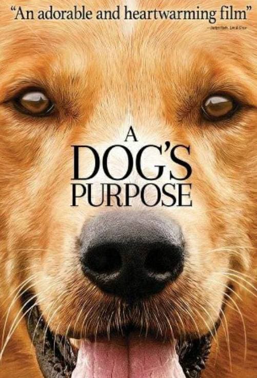 Movie A Dog's Purpose