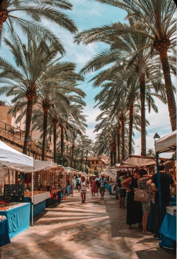 Lugar Palma de Mallorca