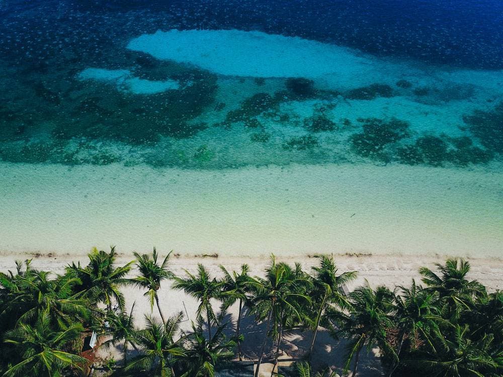 Lugar Great Barrier Reef