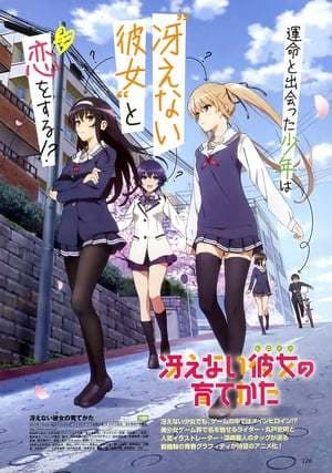 Serie Saekano: How to Raise a Boring Girlfriend