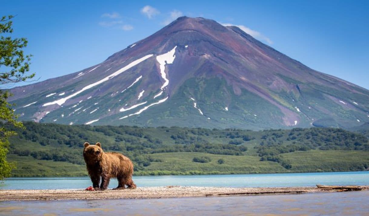 Lugar Kamchatka