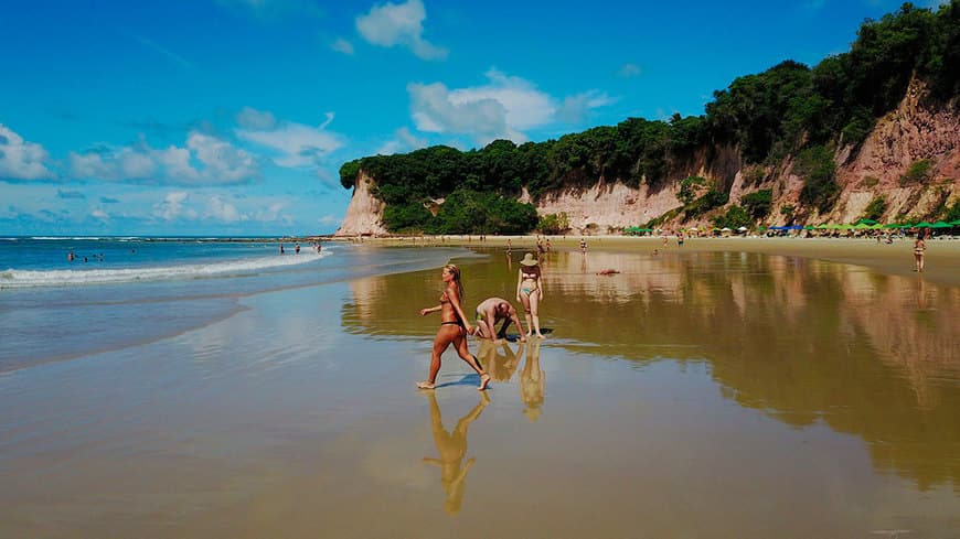 Lugar Baía dos Golfinhos