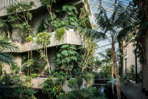 Place Barbican Conservatory