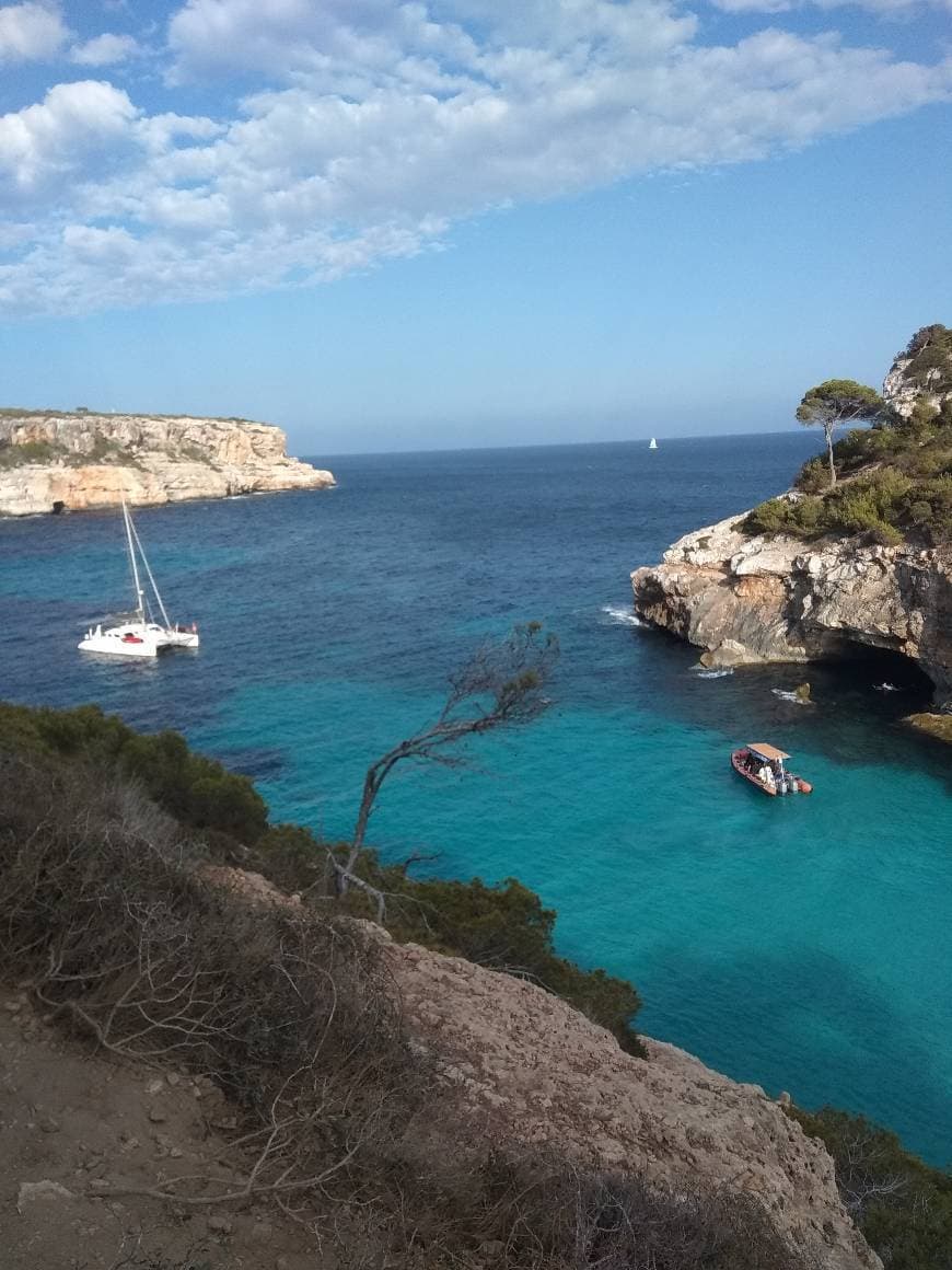 Lugar Mallorca