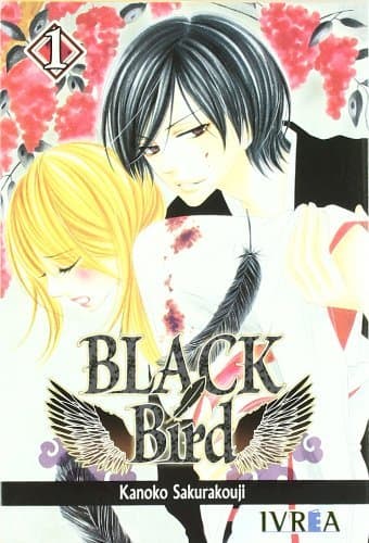 Libro Black bird 01