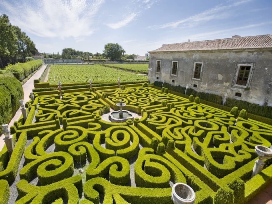 Lugar Palácio e Quinta da Bacalhôa