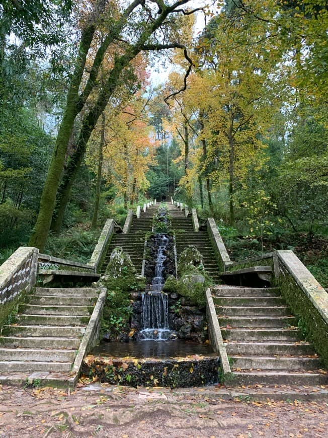 Place Mata Nacional do Buçaco